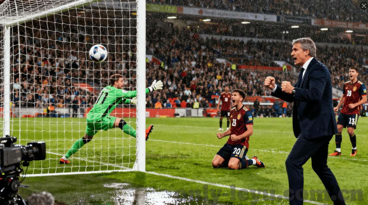 看20丨8年世界杯-2018年世界杯，足球盛宴与激情碰撞